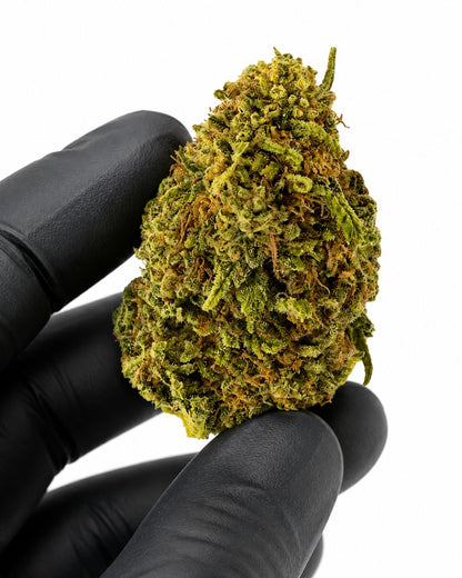 Cali Muffin - Hydro