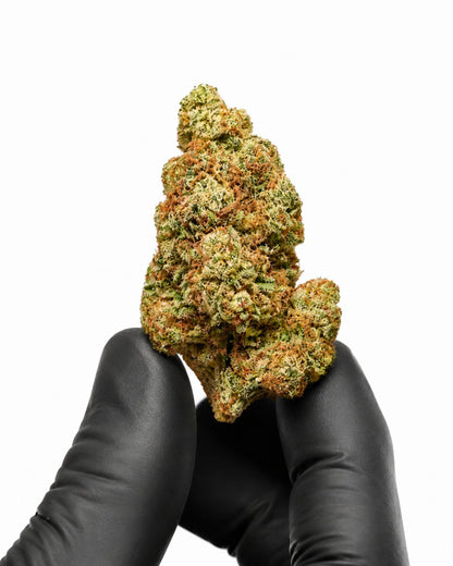 Passion Kush - Indoor