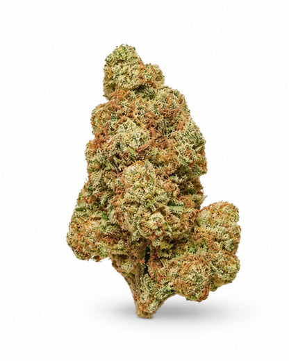Passion Kush - Indoor