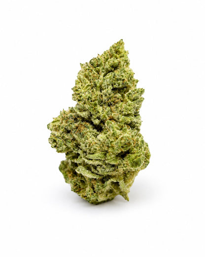 Suny Lemon - Hydro