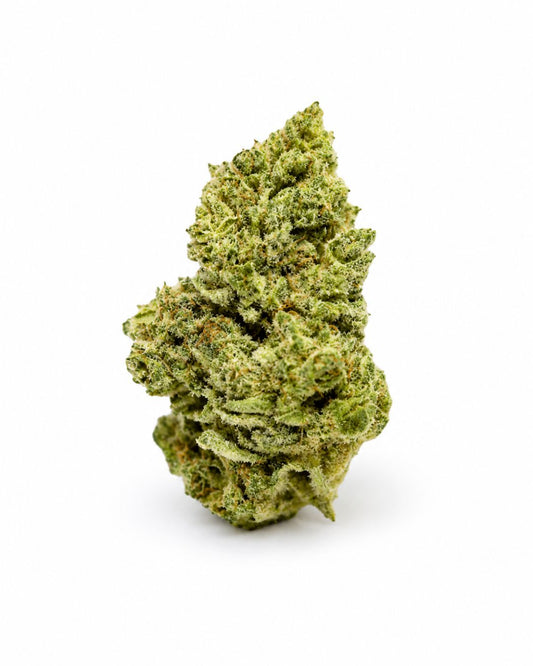 Suny Lemon - Hydro