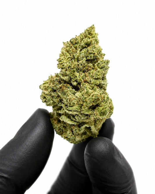 Suny Lemon - Hydro