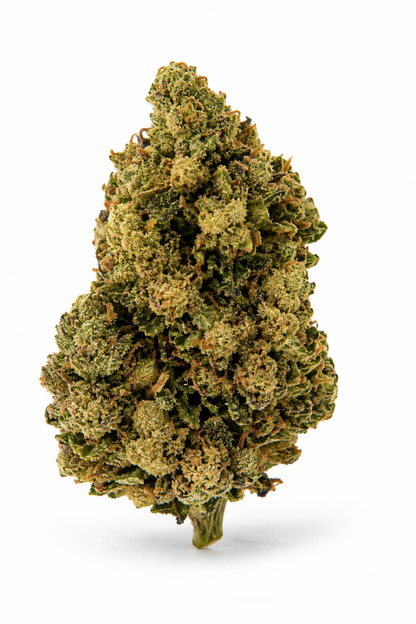 fleurs-Oreoz-CBD-Indoor-en-gros-plan