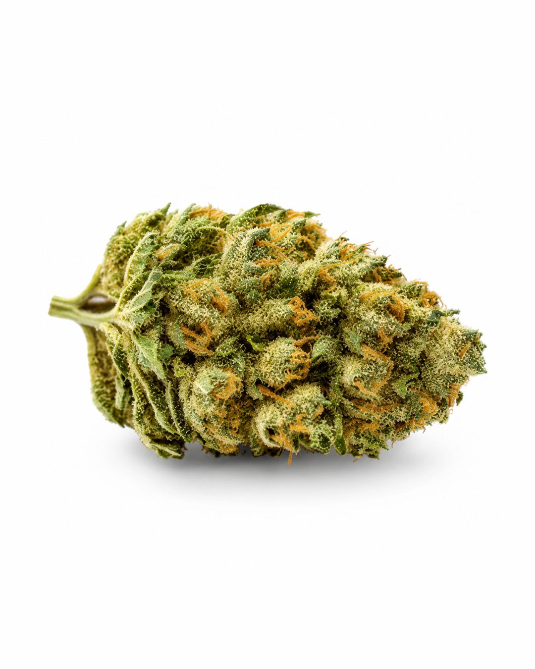 Ghost Train Haze – Glasshouse