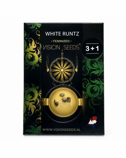 White Runtz – 3 Graines de collection Vision Seeds®