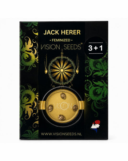 Jack Herer – 3+1 Graines de collection Vision Seeds®