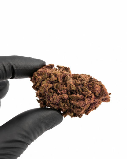 Master Kush - Outdoor