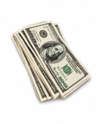Pochon Billet 100 Dollars – 50 Pochettes Zip 14 × 9 cm