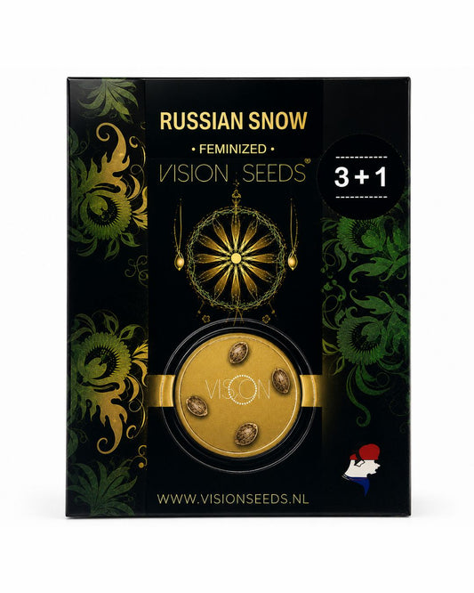 Russian Snow – 3+1 Graines de collection Vision Seeds®