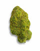 The Legendary Platinum – Hydro