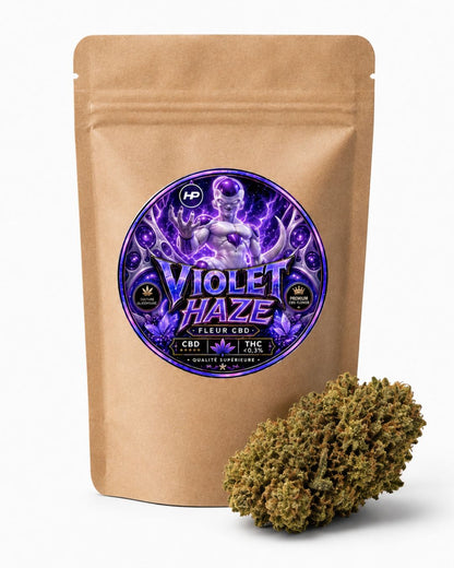 Violet Haze – Glasshouse