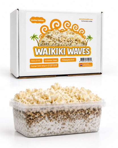 Waikiki Waves Growkit – Kit de collection